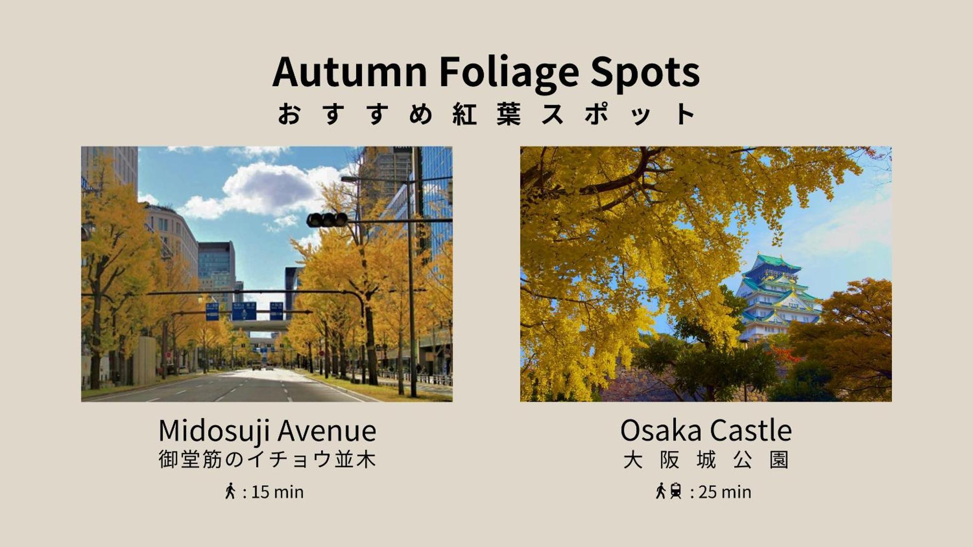 大阪市フォレステイ心斎橋アパートメント エクステリア 写真